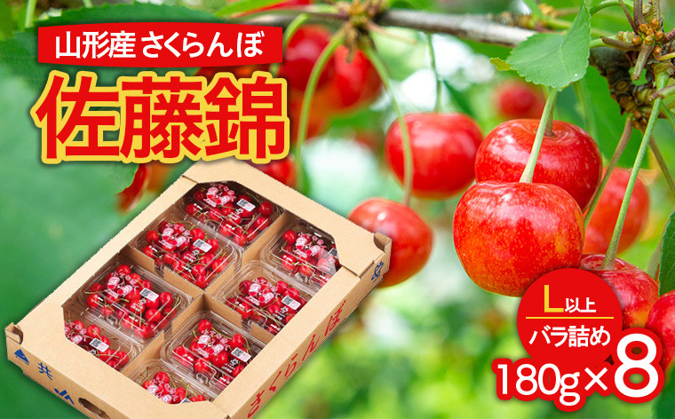 
                  山形市産 さくらんぼ 佐藤錦 L以上 1440g(180g×8パック) バラ詰め 【令和9年産先行予約】FS26-628
                