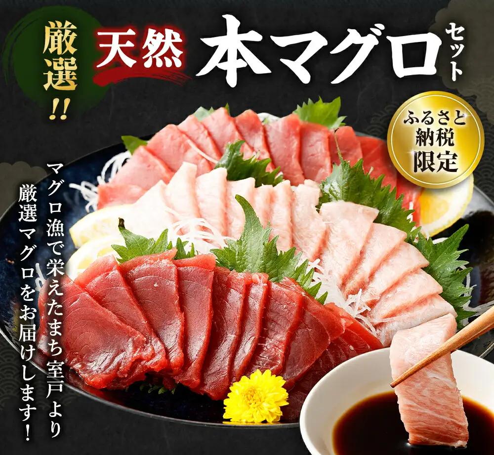 本マグロ 小分け 計約600g  【まぐろ】FN-Limited-PR