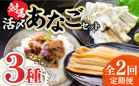 【全2回定期便】対馬 産 活〆 あなご セット九州 長崎 煮あなご 佃煮 アナゴ [WAC053]