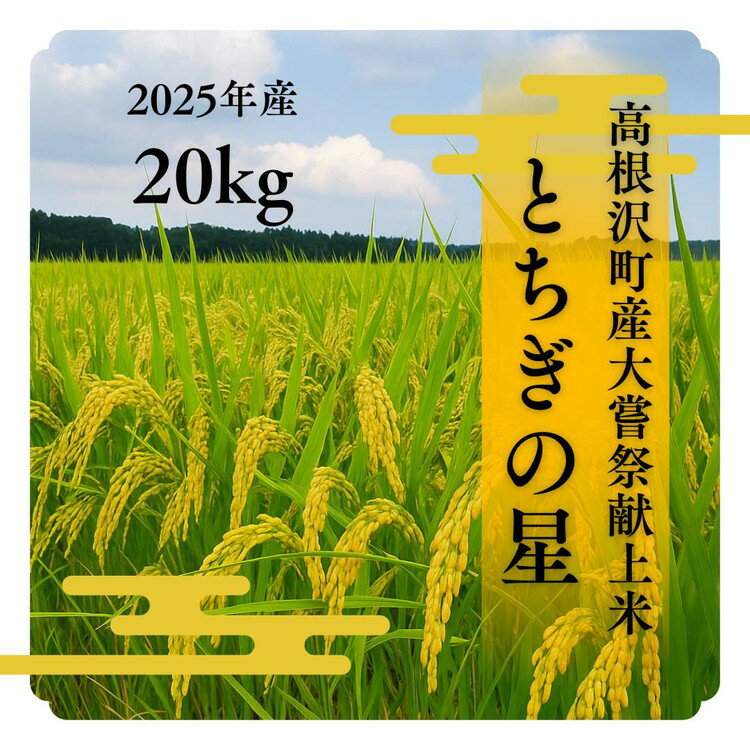 【ふるさと納税】高根沢町産とちぎの星（精米）20kg ※離島への配送不可 ※2025年10月中旬～12月下旬頃に順次発送予定