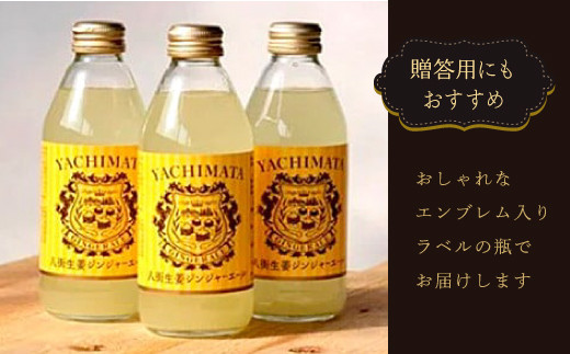 【毎月お届け3回】 八街生姜ジンジャーエール （ 250ml × 20本 × 3回 ） ジンジャーエール 生姜 八街 定期便 ジュース ジンジャー 瓶 ビン セット