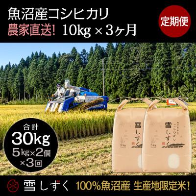 ふるさと納税 十日町市 【毎月定期便】中里地域限定!魚沼産コシヒカリ10kg(5kg×2袋)×3回 合計30kg全3回
