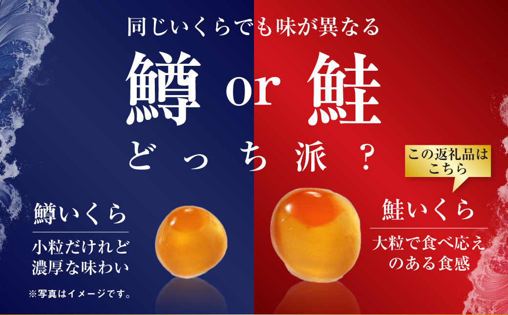 【最短3営業日以内発送】いくら 醤油漬け 250g×1パック 北海道 釧路 ふるさと納税 いくら イクラ 丼 ごはんのお供 魚介類 海鮮 魚卵 海産物 F5F-0097