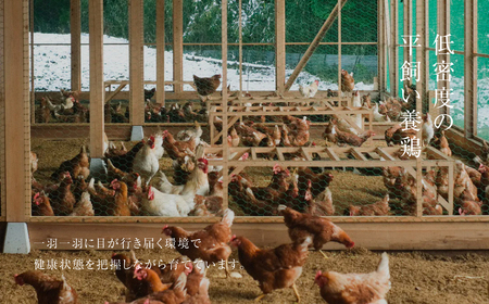 【全6回定期便】平飼い有精卵 30個《西粟倉村》【株式会社点々】t-SS-CnDA