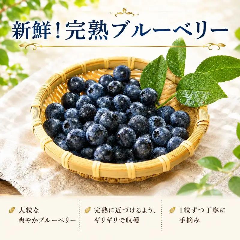 【7月以降発送】完熟 ブルーベリー 大玉 750g (150ｇ×5) 北田りんご園 kitada003