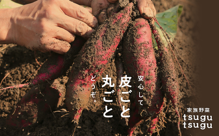 紅はるか 2.5kg ねっとり甘～い おいもさん【農薬・化学肥料不使用】