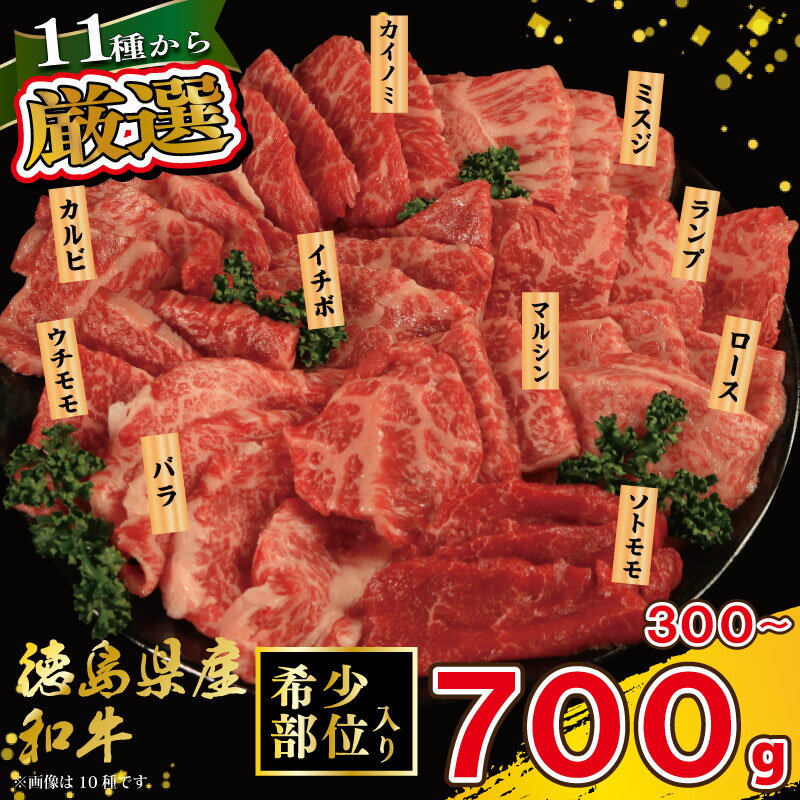 【ふるさと納税】 焼肉 セット 牛肉 おまかせ 3種 5種 7種 国産和牛 ロース バラ 外もも 内もも マルシン カイノミ イチボ ランプ カルビ ミスジ トンビ 和牛 焼き肉 希少部位 赤身 食べ比べ にく ぎゅう うし BBQ やきにく お祝い 贈答 プレゼント 徳島県 吉野川市