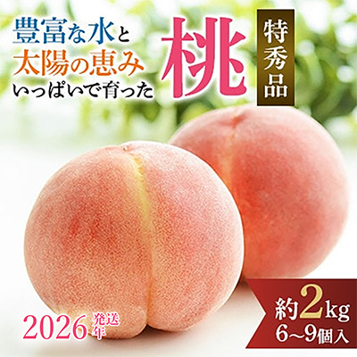 先行受付!　旬の桃　(特秀品)　約2kg　6～9個入【配送不可地域：離島】【1484353】