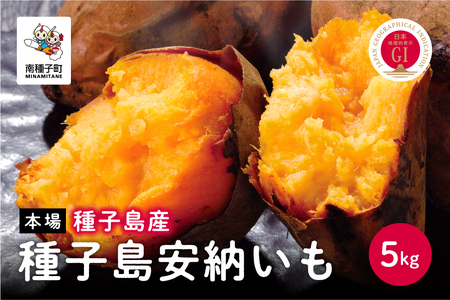 【先行予約】 種子島 安納いも さつまいも 5kg 焼きいも 焼き芋 本場 安納芋 さつま芋 甘い ねっとり スイーツ おやつ グルメ お取り寄せ おせち 人気 種子島産 返礼品 南種子町 鹿児島 かごしま 【観光物産館トンミー市場】