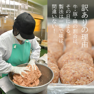 訳あり ハンバーグ 1.4kg (200g×7個) 手ごねハンバーグ 塩竈市 遊佐ミート
