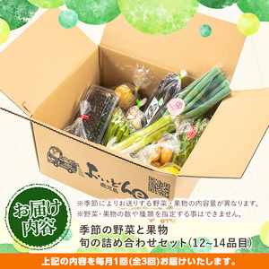 《定期便・全３回》野菜と果物旬の詰め合わせ(12～14品目) 国産 九州産 鹿児島県産 野菜 やさい果物 くだもの フルーツ デザート 詰め合わせ お楽しみ セット 旬【鹿児島県経済農業協同組合連合会