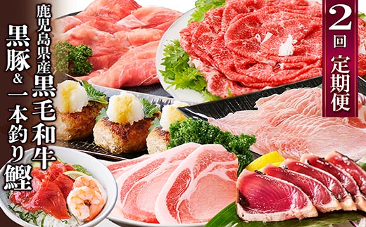 定期便(2回配送)鹿児島県産黒毛和牛・豚肉・一本釣りかつお DD−6004【1166749】
