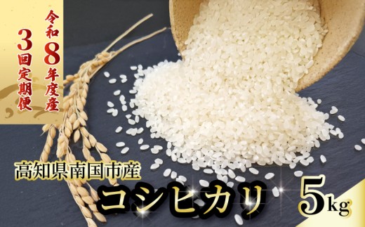 【先行予約】【3回定期便】令和8年度 南国市産 コシヒカリ 白米 5㎏ | 数量限定 米 コメ お米 ご飯 おにぎり こめ 弁当 高知県 南国市