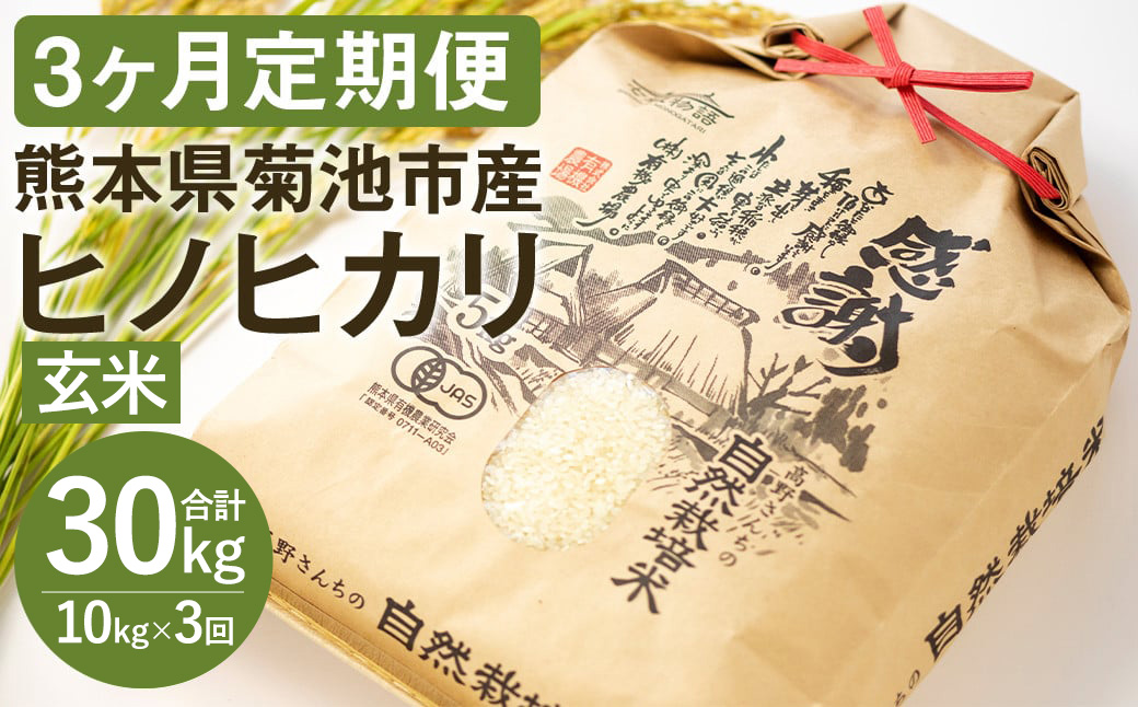 【3ヶ月定期便】熊本県 菊池産 ヒノヒカリ 玄米 10kg 通常パッケージ 令和7年産《お申込みの翌月から発送予定》七城物語 高野さんちの自然栽培米 米 お米 自然栽培米 特A 国産 九州産 熊本県産 送料無料