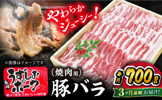 【3回定期便】焼肉用 長崎うずしおポーク 豚バラ（ 焼肉 用）700g 訳あり＜スーパーウエスト＞[CAG020] 長崎 豚 豚肉 焼き肉 バラ BBQ ブランド豚