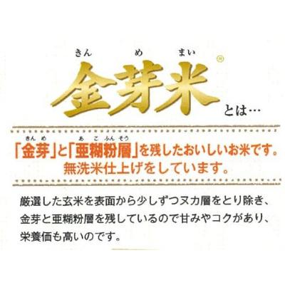 ふるさと納税 安来市 BG無洗米　金芽米にこまる5kg |  | 01