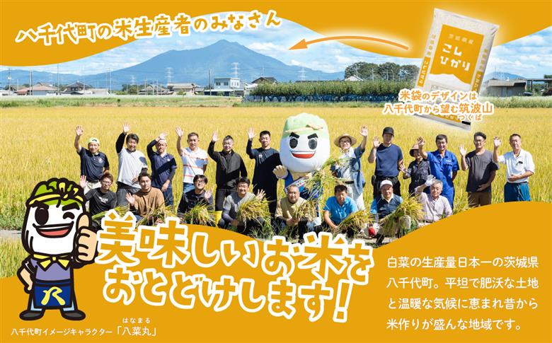 【12月発送】コシヒカリ 5kg 令和7年産 新米 茨城県産 白米 精米 茨城県 お米 米 [SF326yai] 【12月発送】コシヒカリ 5kg(5kg×1袋)