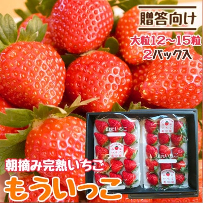 
                  山元いちご農園 朝採り完熟いちご もういっこ大粒24～30粒(12～15粒×2パック)【1475583】
                