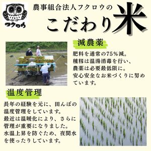 【毎月定期便】コシヒカリ玄米10kg 全6回