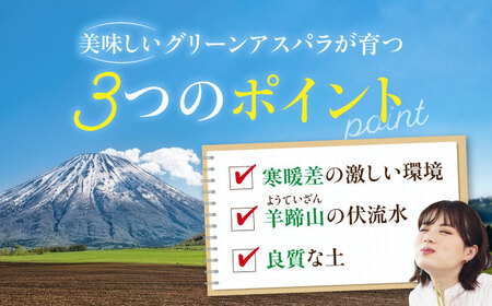 【2026年5月中旬以降順次発送】 グリーンアスパラガス 1kg （L以上/露地栽培）《喜茂別町》【久保田農園】 アスパラ アスパラガス グリーンアスパラ 冷蔵 冷蔵配送 野菜 春野菜 季節の野菜[A