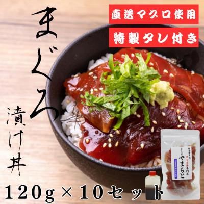 ふるさと納税 宮城県 【直送マグロ使用】まぐろパック　特製漬けタレ付き　120g×10パック