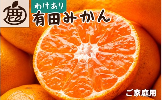 【先行予約】家庭用 有田みかん（完熟）10kg+250g（傷み補償分） ※11月より発送(完熟)【わけあり・訳あり】【光センサー選果】※北海道・沖縄・離島配送不可 / みかん ミカン 和歌山 柑橘 フルーツ 有田 有田みかん 【ikd175C】