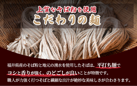 冷蔵 生そば 4人前(だし付き) 越前蕎麦 こだわり (保存料・防腐剤・添加物不使用）美味しいそばのゆで方ポイント付【ソバ 訳あり 麺 お届け希望日指定可能 年末 年越し ざるそば 冷凍保存 】[e2