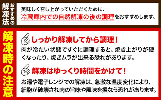プルコギ 味つけ牛肉切り落とし(プルコギ風) 1230g(410g×3袋) 株式会社松源《90日以内に出荷予定(土日祝除く)》和歌山県 岩出市 牛肉 肉 バラ肉 味付け 切り落とし プルコギ 送料無料