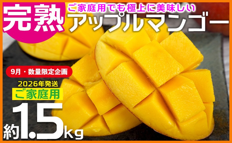
            【9月・数量限定企画】【2026年発送】ご家庭用でも極上に美味しい完熟アップルマンゴー約1.5kg　農園直送！ 家庭用 先行予約 沖縄 甘味 糖度 濃厚 美味しい お土産 おいしい ふるさと納税 とろける甘さ 香り アーウィン 果汁 送料無料 箱入り トロピカル 普段使い 自分用 ご褒美
          