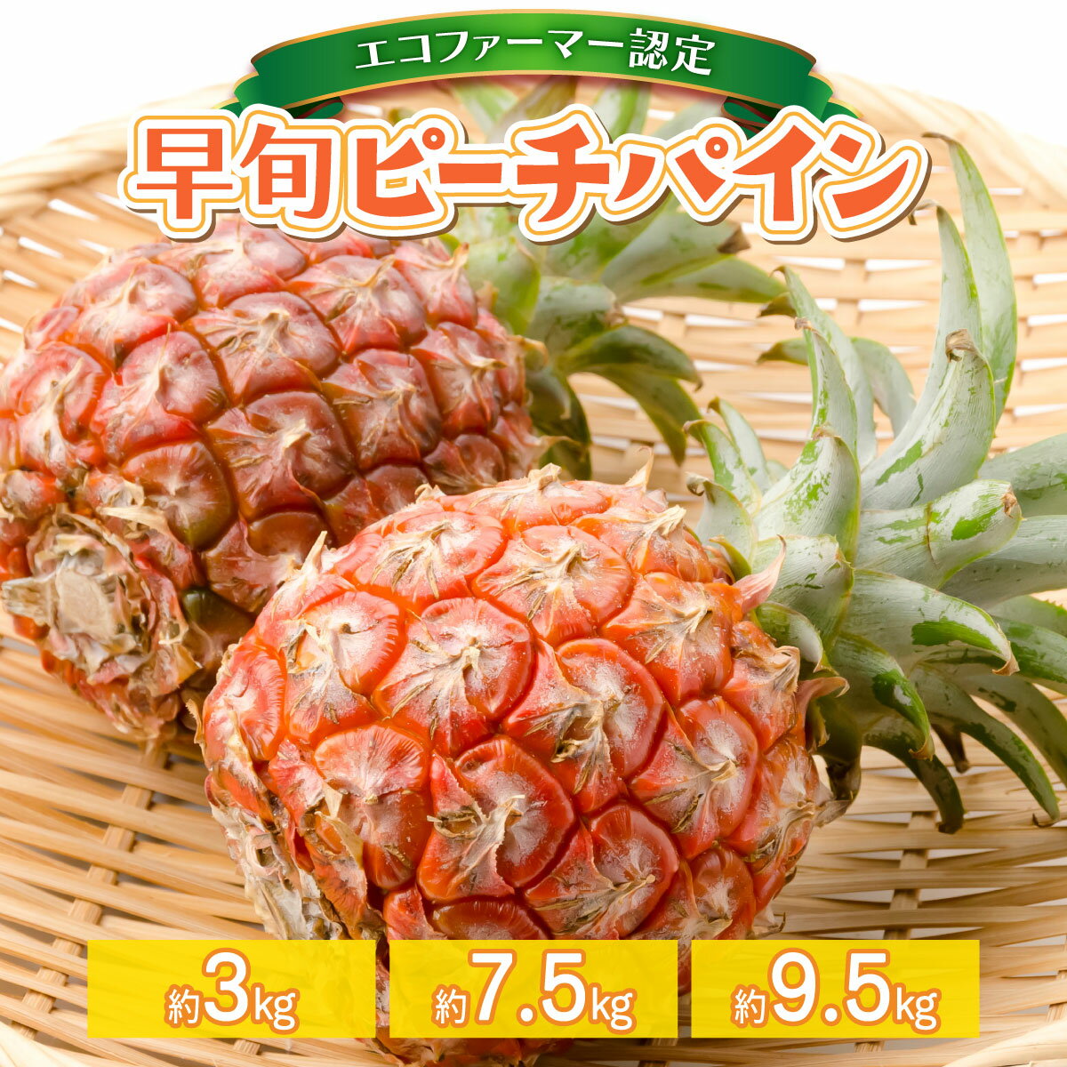 【ふるさと納税】＜選べる容量＞2026年 先行予約 栽培期間中 農薬不使用 夏まで待ちきれない！早旬 ピーチパイン 約3kg〜9.5kg 西表島 初エコファーマー認定