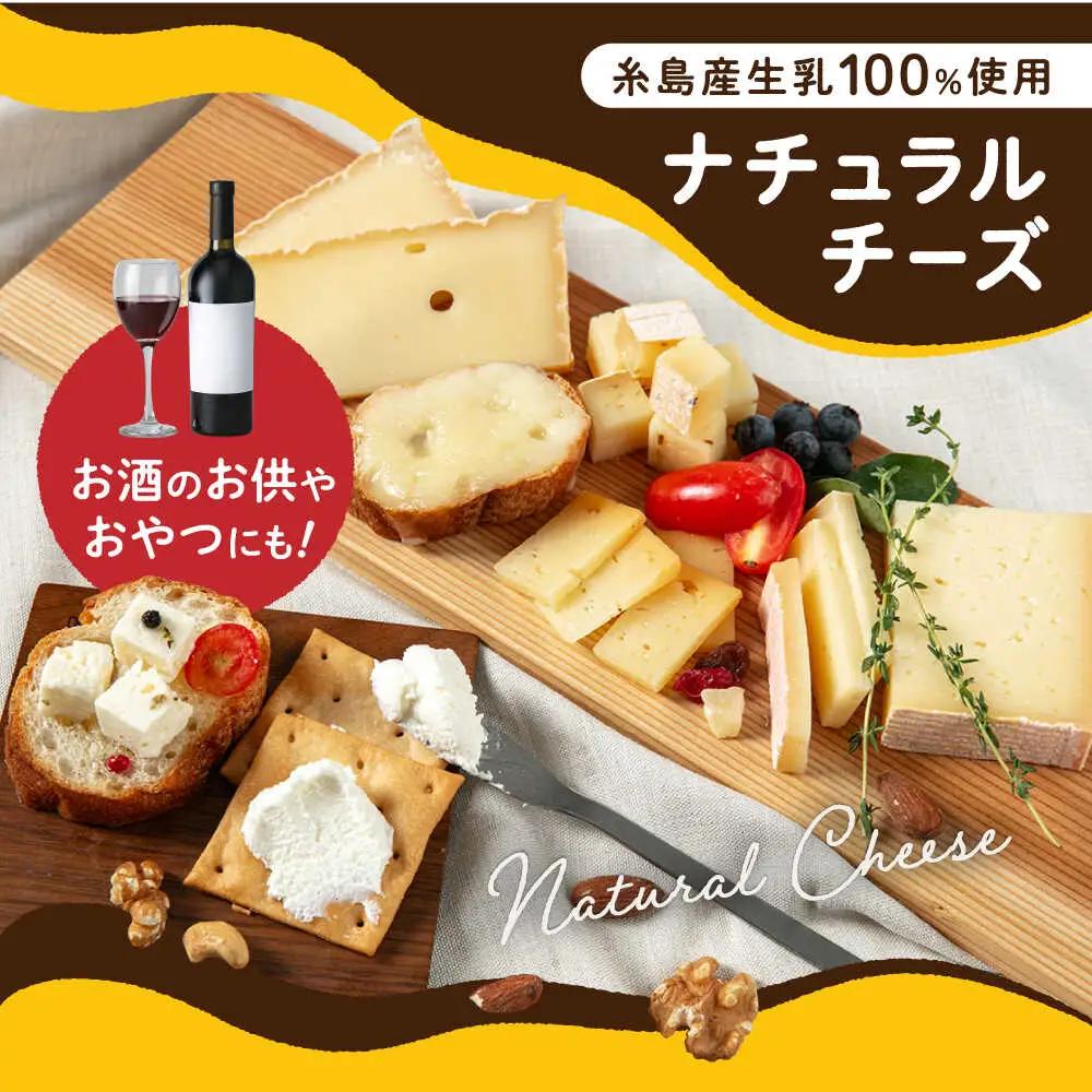 【全6回定期便】糸島産 生乳 100％ 使用 手作り チーズ 充実 7点 セット 糸島市 / 糸島ナチュラルチーズ製造所TAK-タック- [AYC013]