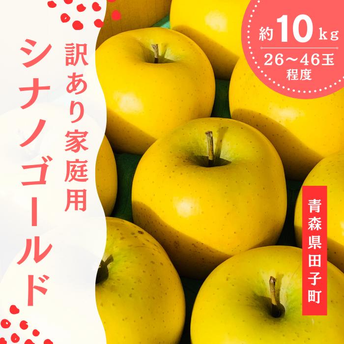 【ふるさと納税】【訳あり】青森りんご田子の家庭用シナノゴールド 約10kg （1月出荷）　果物類・林檎・りんご・リンゴ　出荷開始：1月10日〜1月31日