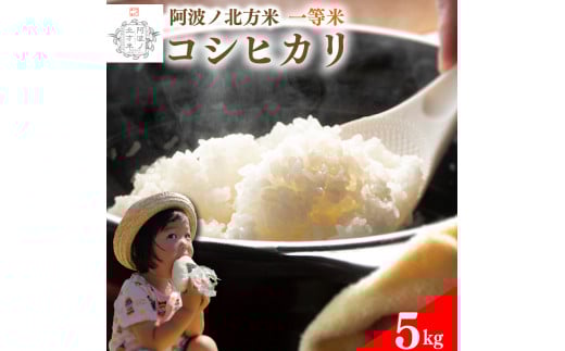 【 単品 5kg 】コシヒカリ 令和7年産 阿波ノ北方米 1等 米 こめ ご飯 ごはん おにぎり 白米 精米 卵かけご飯 食品 備蓄 備蓄米 保存 防災 ギフト 贈答 プレゼント お取り寄せ グルメ 送料無料 徳島県 阿波市 阿波ノ北方農園