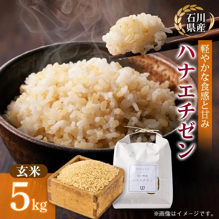 【家庭料理にぴったりの旨み】石川県野々市市産ハナエチゼン令和7年産玄米 5kg【1685138】
