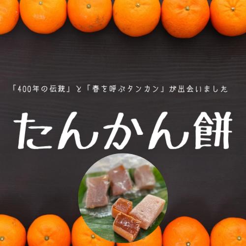 
宇検村産たんかん100％使用「たんかん餅」(15個入り×6パック)
