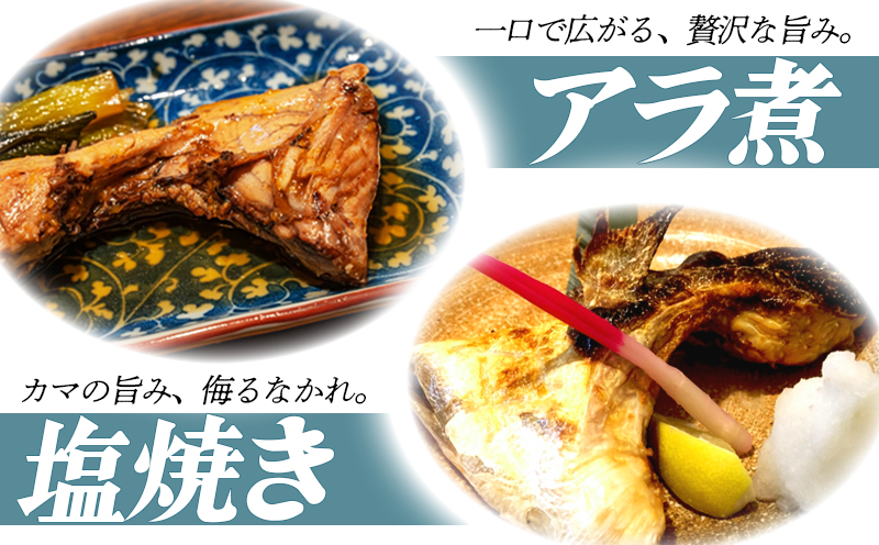 W-0102／垂水カンパチ『海の桜勘』 カマ 8個（計1.6kg以上）