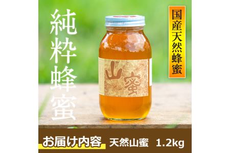 s056 国産天然山蜜(1.2kg)鹿児島県産の純粋はちみつ！さつま町の野山に咲く花からとれた蜂蜜をお届け！【下市養蜂場】