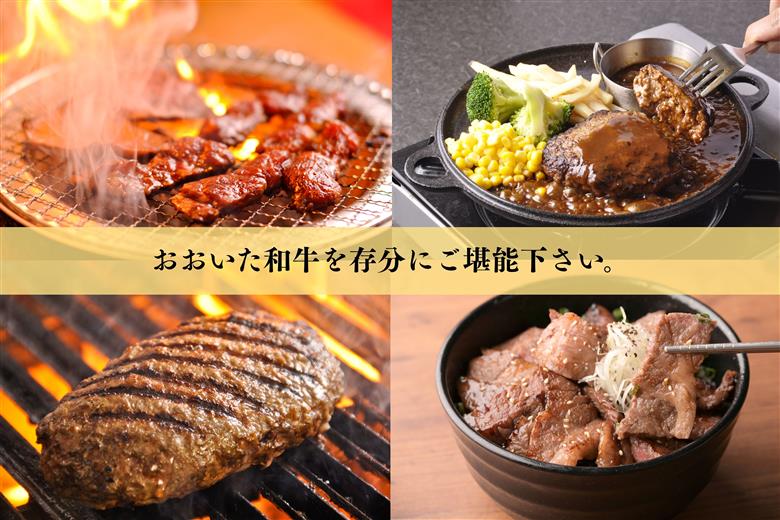 おおいた和牛 詰め合わせ 合計約 810g ハンバーグ 焼き肉 ロース カルビ 赤身 つけダレ付