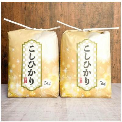 ふるさと納税 山添村 令和7年度産コシヒカリ精米10kg(5kg×2袋)
