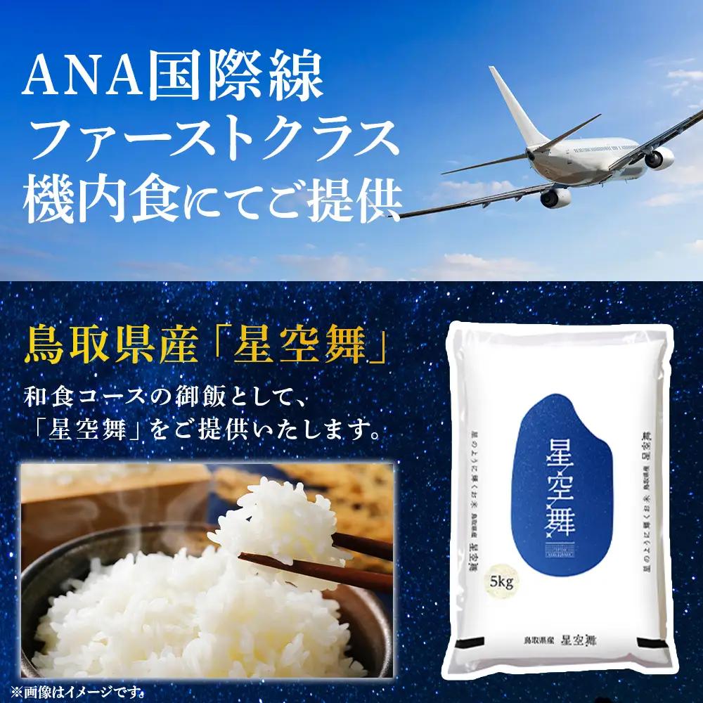 【4月以降順次発送】【数量限定】【令和7年産米】鳥取県産星空舞（5kg）パールライス 米 白米