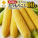 【ふるさと納税】【数量限定】Lサイズ以上のとうもろこし10本！｜北海道産 とうもろこし Lサイズ 以上10本 新鮮 産地直送 野菜 旬 冷蔵 夏発送 お中元 ギフト 滝川市