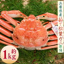 【ふるさと納税】松葉ガニの本場より プロ茹で松葉ガニ（冷凍） 1枚 1kg 原体 かに カニ 蟹 ズワイガニ 松葉ガニ 釜茹で 魚介 新鮮 海産物 急速冷凍 お取り寄せ 兵庫県 新温泉町 送料無料