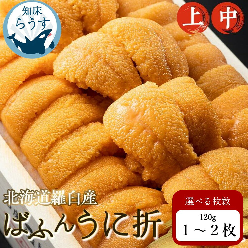 【ふるさと納税】＜先行受付＞＜27年1月～6月内発送＞容量と等級が選べる 羅臼産 折うに 上 中 120g×1～2枚 ふるさと納税 うに 北海道産 知床 天然 エゾバフンウニ ウニ 雲丹 刺身 海鮮丼 海産物 魚介類 冷蔵