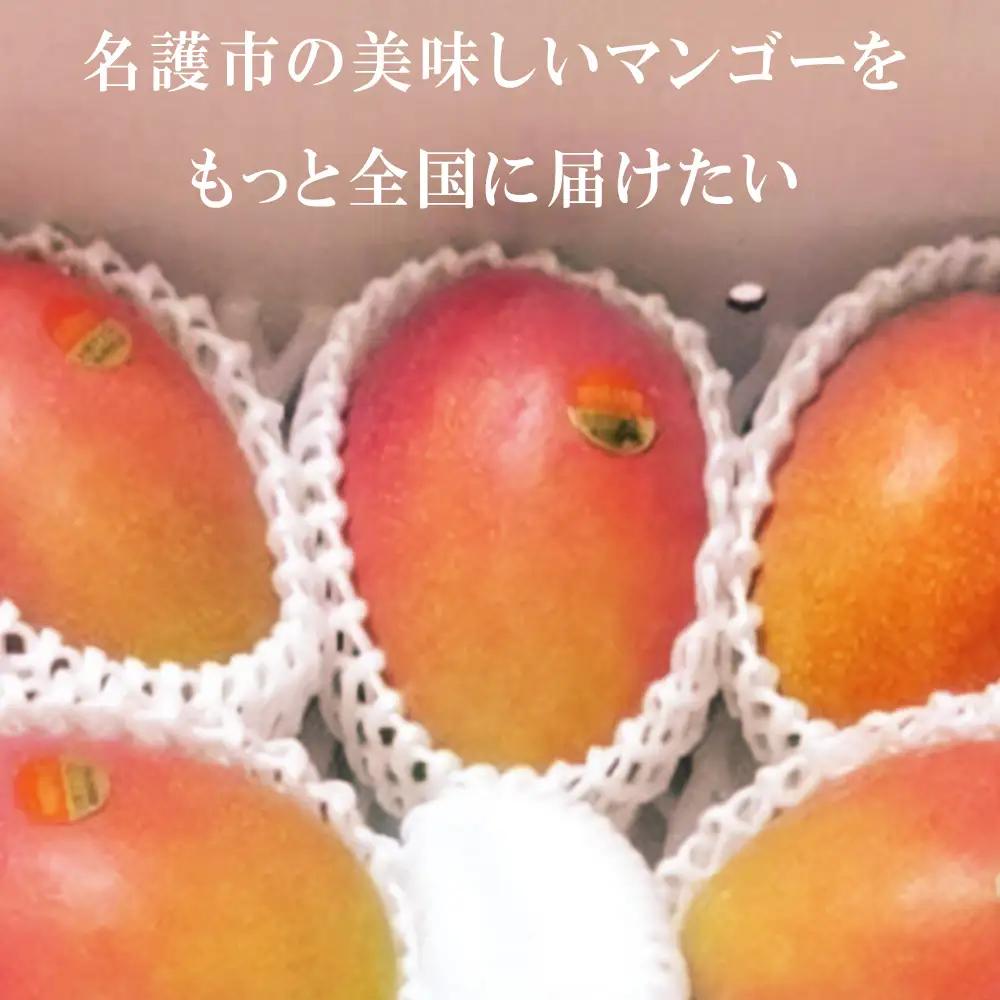 2027年発送【75マンゴー生産部会】 75（名護）マンゴー　約2kg