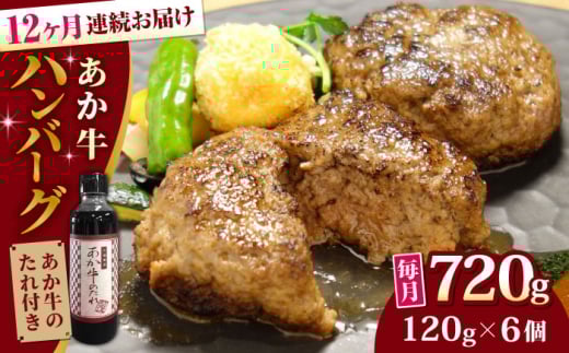 【全12回定期便】【日本ギフト大賞 受賞】熊本県産 あか牛ハンバーグ セット 計720g ( 120g × 6個 ) 冷凍 専用タレ付き あか牛のたれ付き 個包装 熊本和牛【有限会社 三協畜産】[YCG083]