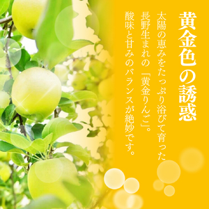 【2026年産】樹上熟成　シナノゴールド 3kg 