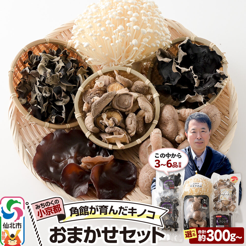 【ふるさと納税】みちのくの小京都・角館が育んだ「おまかせセット」（桜えのき、原木しいたけ、生きくらげ、乾燥きくらげ、訳あり出汁取り用乾燥しいたけ、訳あり乾燥きくらげ）【選べる容量 合計約300g(3品前後)／約700g(6品前後)】 [えのき エノキ]