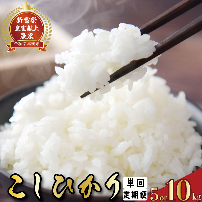 【ふるさと納税】 スピード発送 令和7年産 お米 コシヒカリ 選べる 5kg 10kg 3回 4回 6回 定期便 室献上米 新嘗祭 白米 精米 農家直送 精米 すぐ届く こしひかり 米 こめ ごはん R7年 令和7年 おコメ 食品 グルメ ブランド米 農産物 お取り寄せ 産地直送 安芸市 高知県