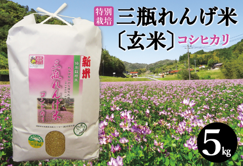 〈玄米〉特別栽培 三瓶れんげ米 コシヒカリ 5kg【玄米 5kg 令和6年産 先行予約 こしひかり お米 げんまい 2024年産 特別栽培米 エコロジー米 無化学窒素肥料 減農薬米】