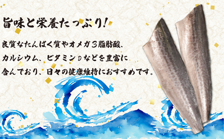 汐さわら 昆布エキス仕込 約5kg さわら さわら さわら さわら さわら エドノフーズ